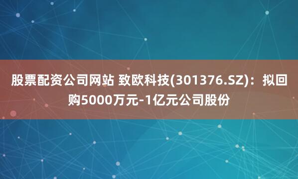 股票配资公司网站 致欧科技(301376.SZ)：拟回购5000万元-1亿元公司股份