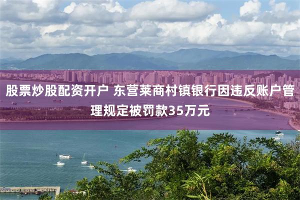 股票炒股配资开户 东营莱商村镇银行因违反账户管理规定被罚款35万元