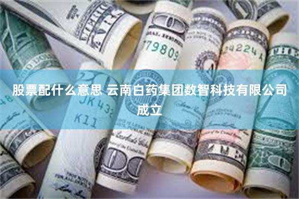 股票配什么意思 云南白药集团数智科技有限公司成立