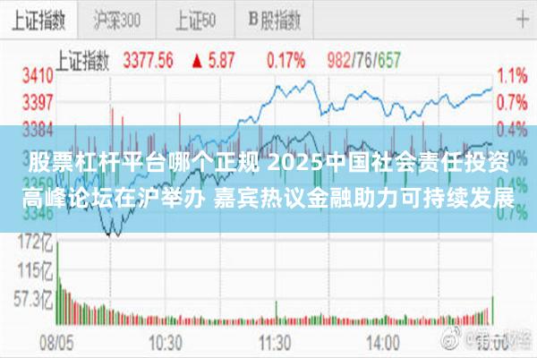 股票杠杆平台哪个正规 2025中国社会责任投资高峰论坛在沪举办 嘉宾热议金融助力可持续发展