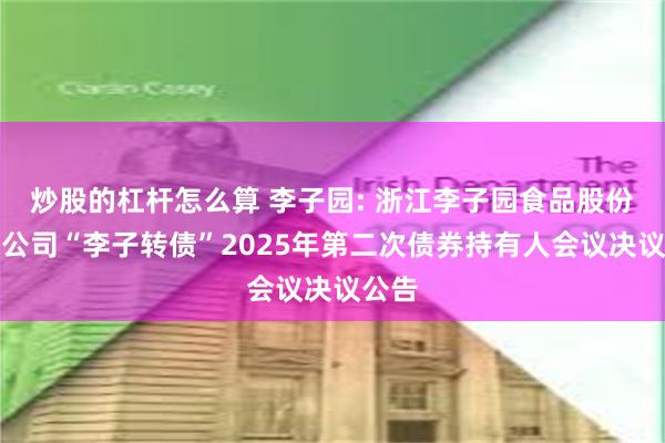 炒股的杠杆怎么算 李子园: 浙江李子园食品股份有限公司“李子转债”2025年第二次债券持有人会议决议公告