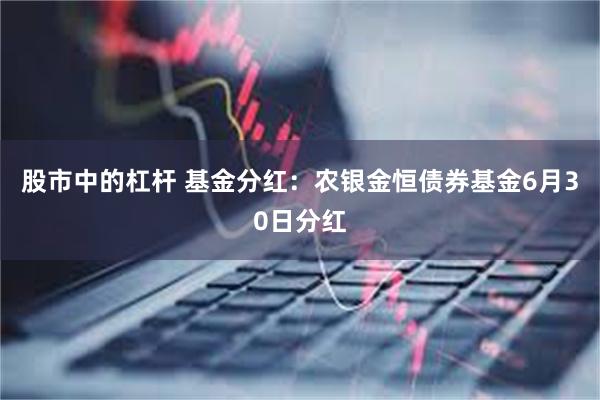 股市中的杠杆 基金分红：农银金恒债券基金6月30日分红