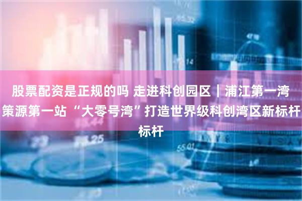 股票配资是正规的吗 走进科创园区｜浦江第一湾策源第一站 “大零号湾”打造世界级科创湾区新标杆