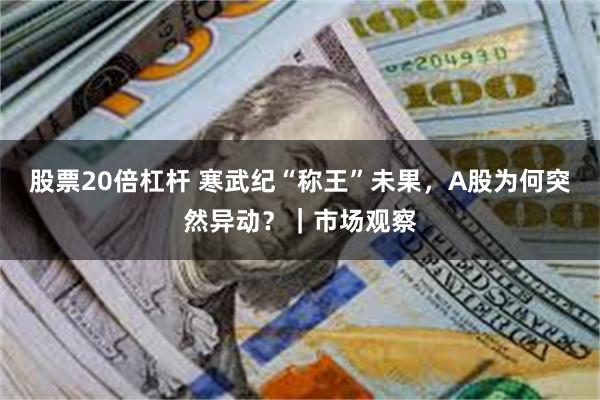 股票20倍杠杆 寒武纪“称王”未果，A股为何突然异动？｜市场观察