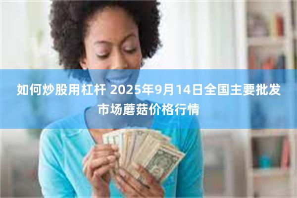 如何炒股用杠杆 2025年9月14日全国主要批发市场蘑菇价格行情