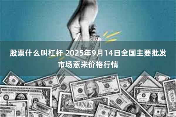 股票什么叫杠杆 2025年9月14日全国主要批发市场薏米价格行情