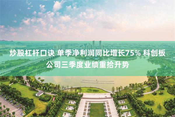 炒股杠杆口诀 单季净利润同比增长75% 科创板公司三季度业绩重拾升势