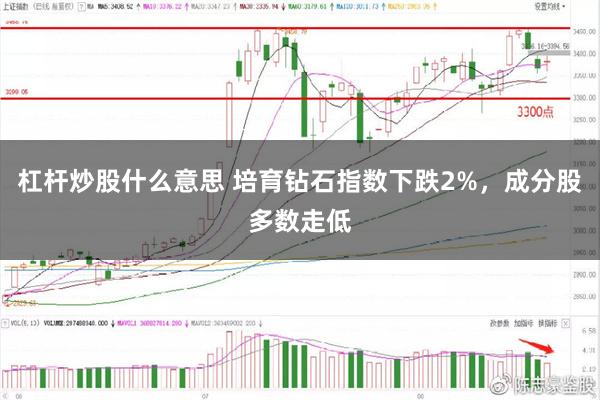 杠杆炒股什么意思 培育钻石指数下跌2%,成分股多数走低